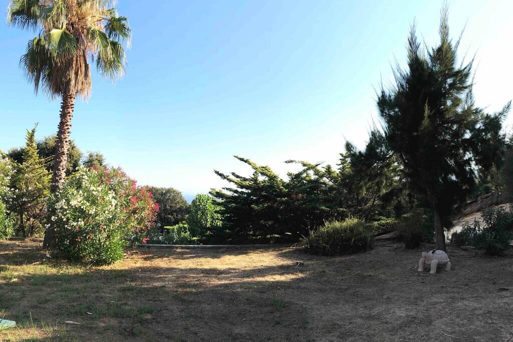 Rez De Villa Bordure Ajaccio Ajaccio  Exteriér fotografie